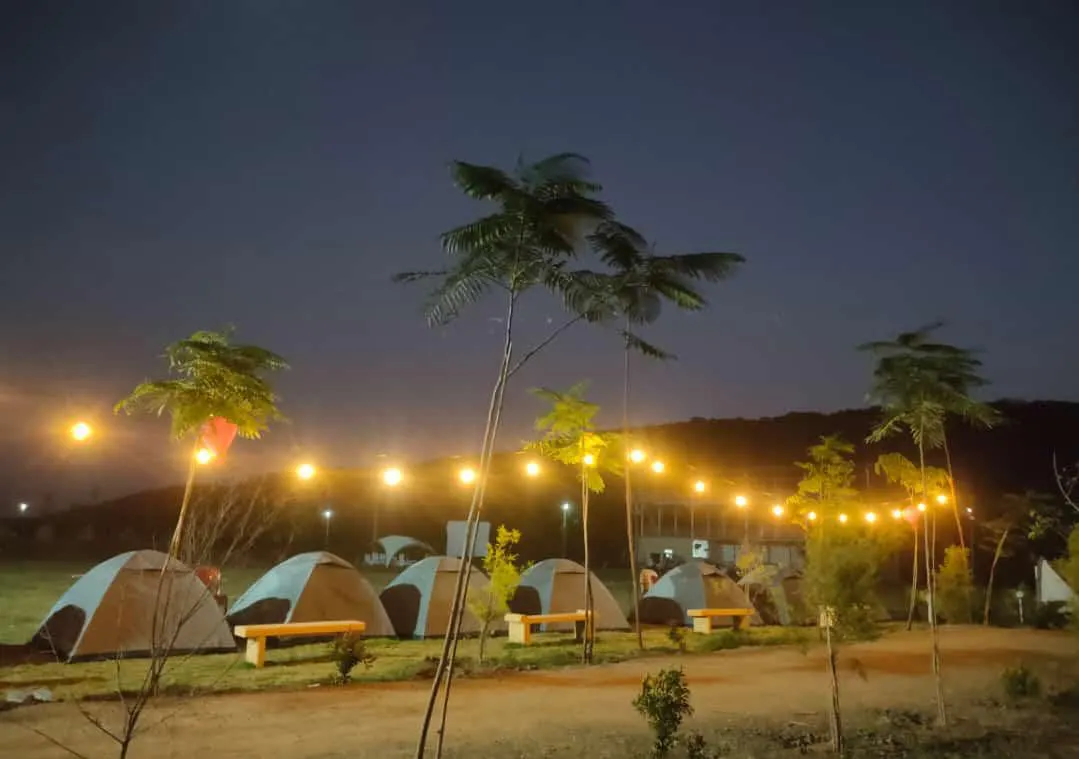 Tents under string lights at night