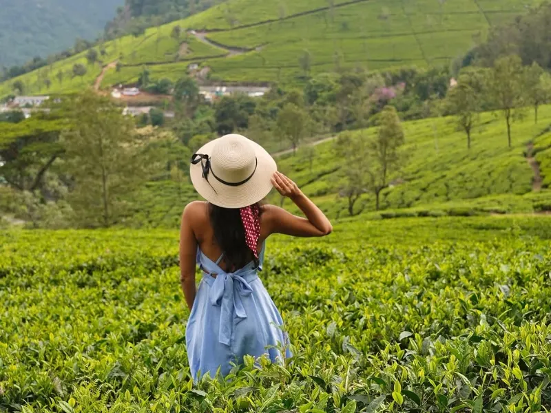 Ooty