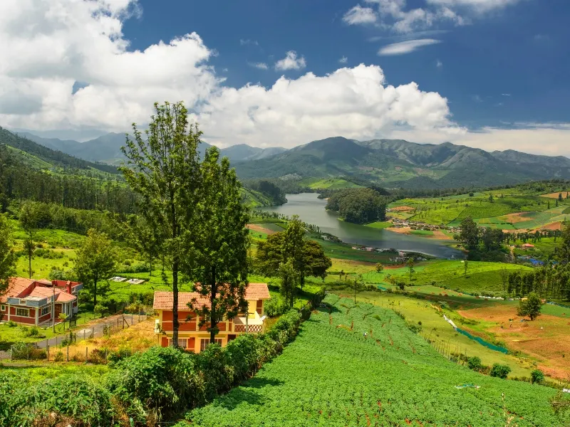Ooty