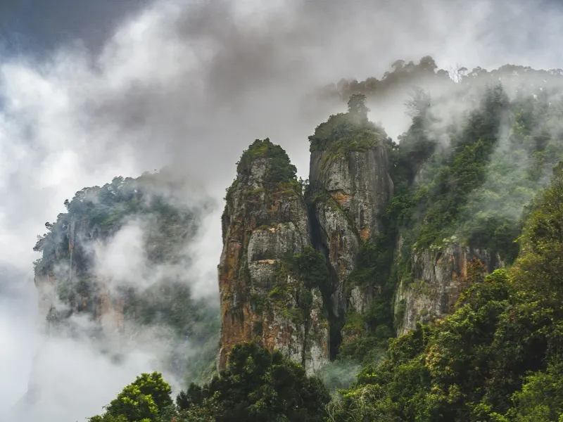 4 Days Ooty Kodaikanal Bliss from Coimbatore