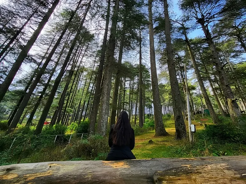 5 Days Ooty Kodaikanal Twin Hills Escape