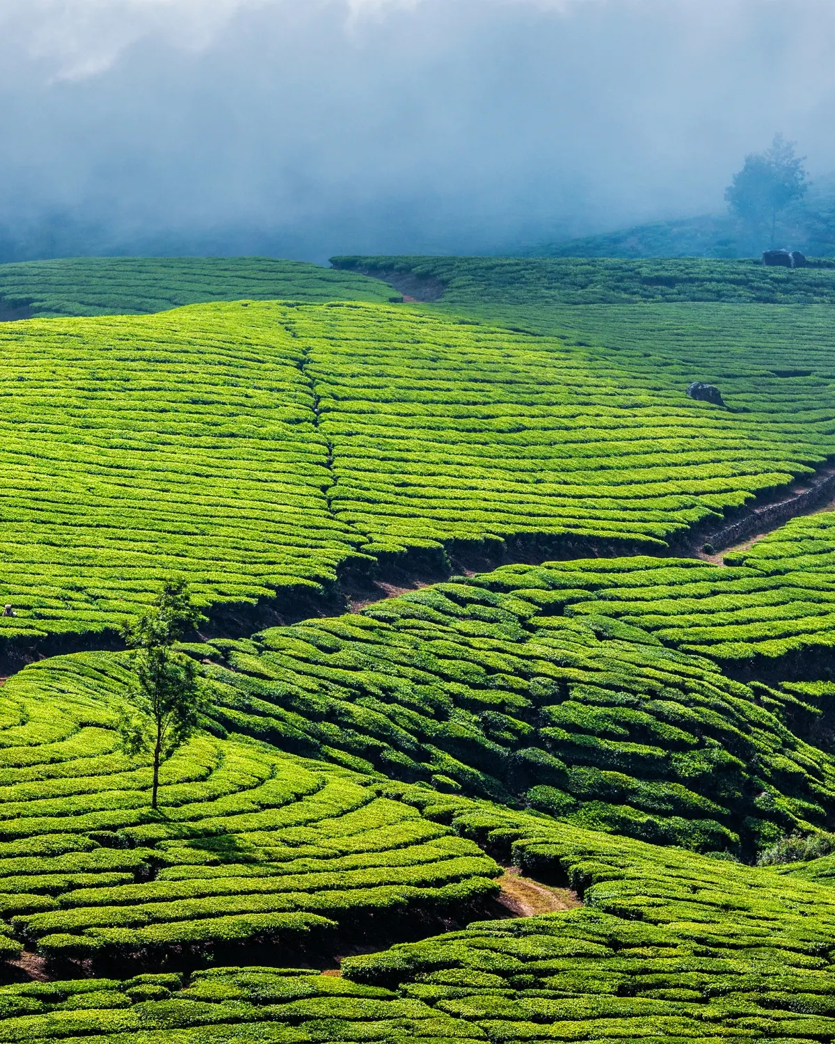 Munnar