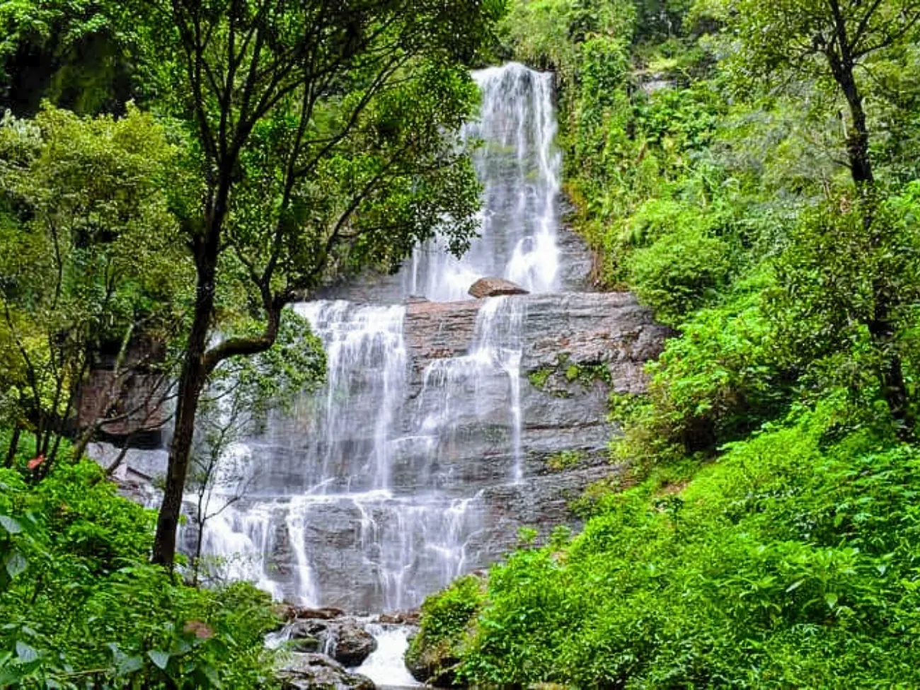 3 Days Chikmagalur Coffee Trails Bliss
