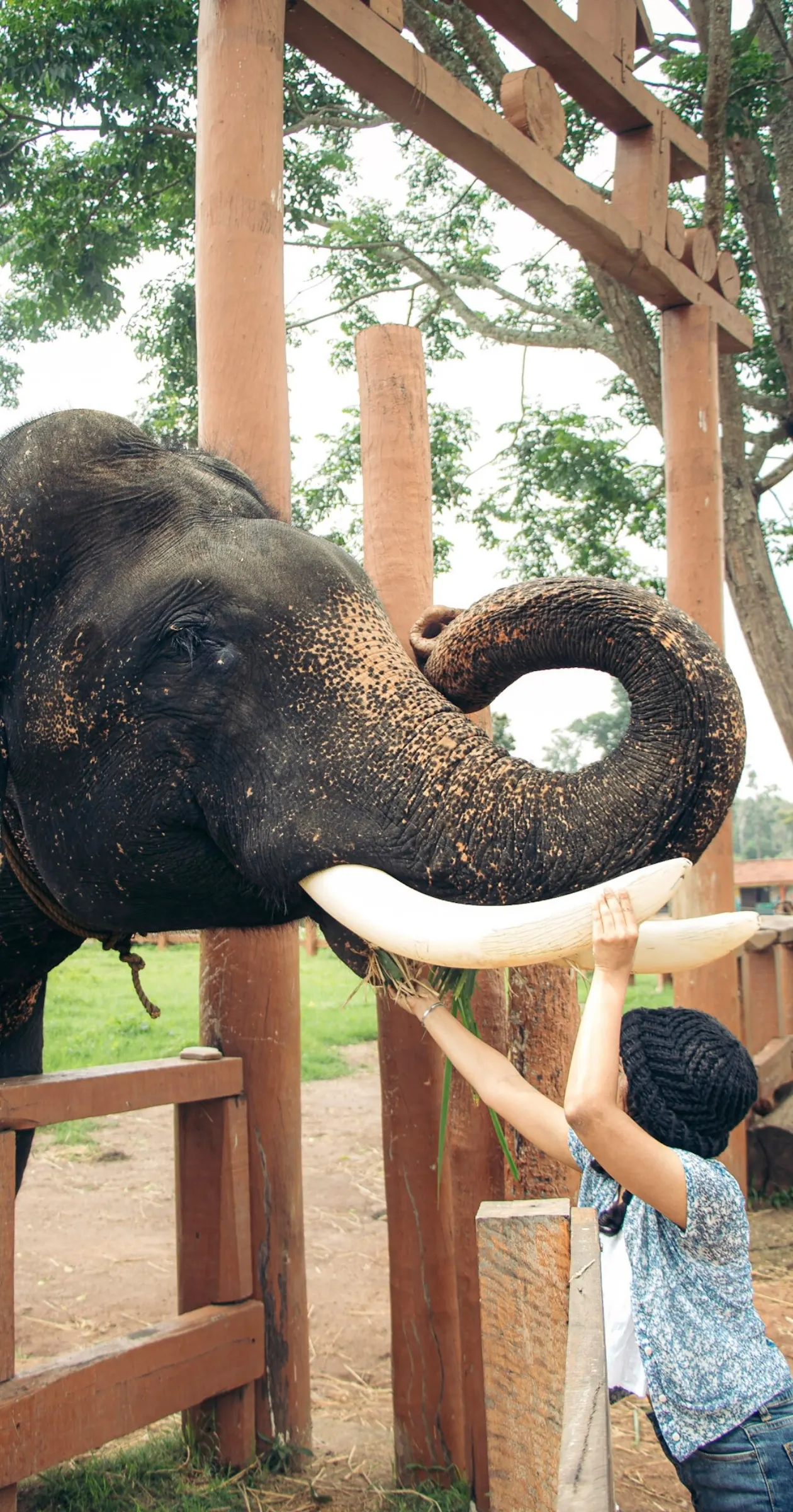 2 Days Coorg Weekend Getaway from Bangalore