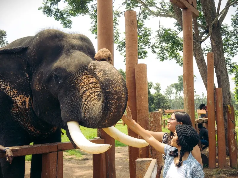 5 Days Ooty Coorg Honeymoon