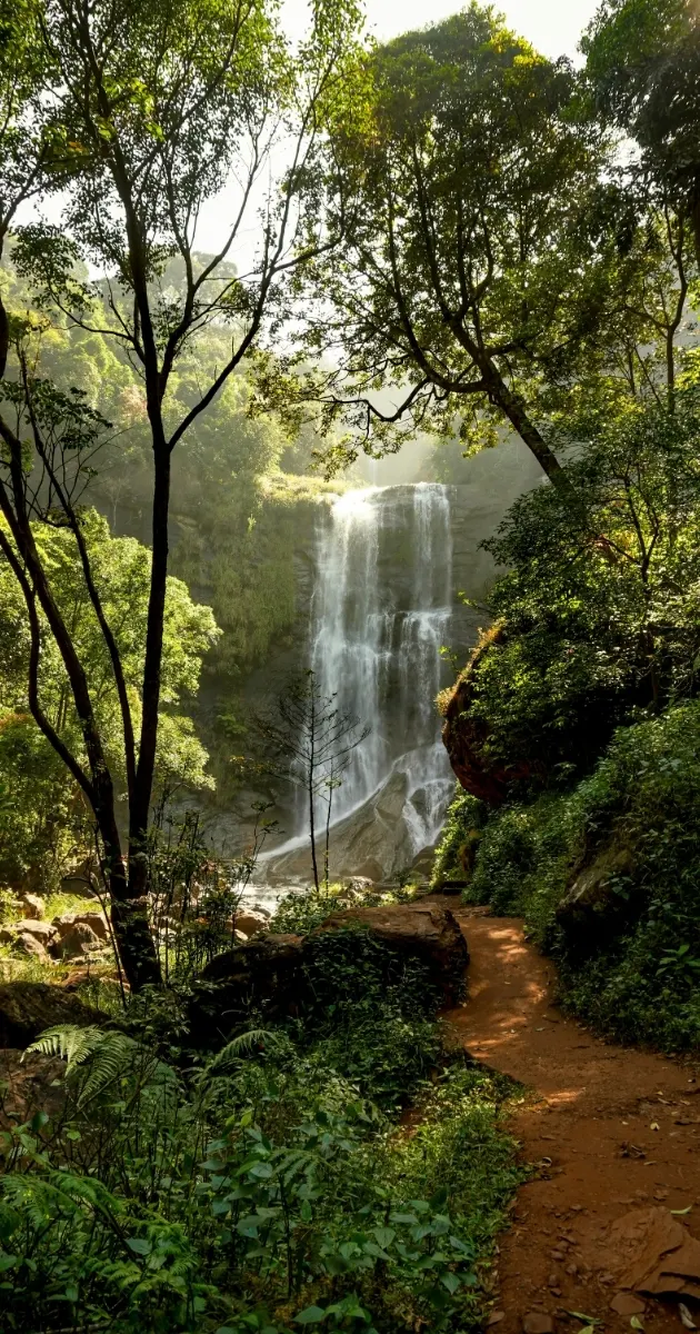 2 Days Chikmagalur Weekend Getaway from Bangalore
