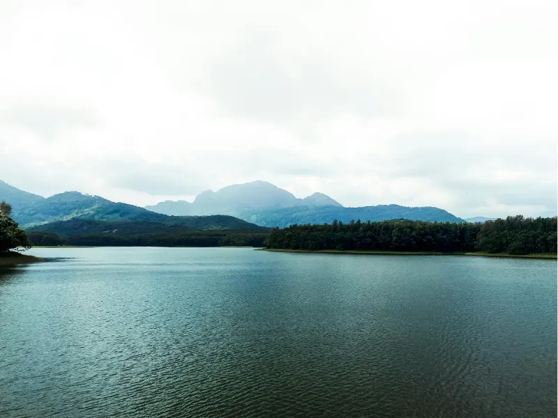 2 Days Wayanad Weekend Getaway from Bangalore