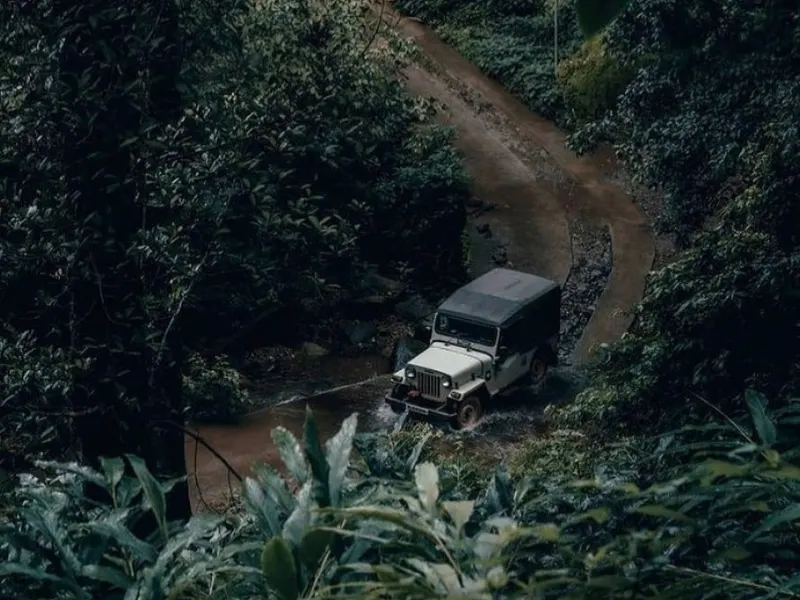 4 Days Mysore Wayanad Bliss