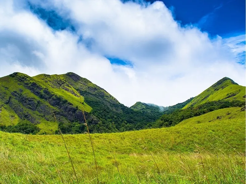 South India