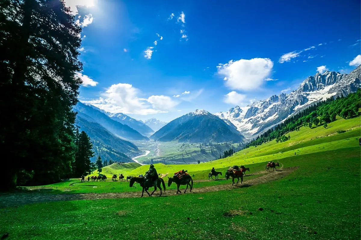 Sonmarg