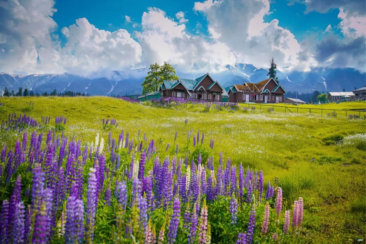 Sonmarg