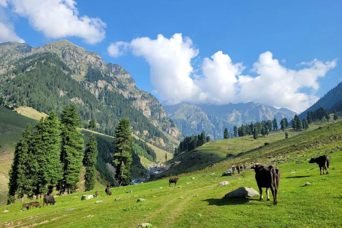Pahalgam