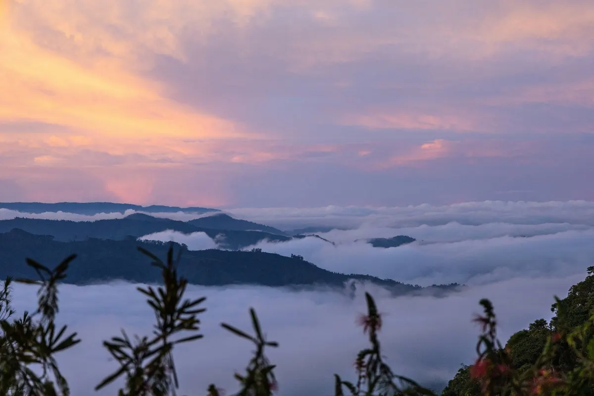 2 Days Araku Lambasingi Bliss