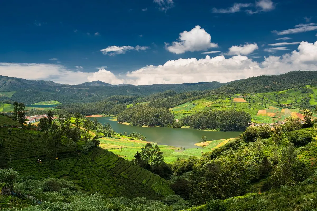 Ooty