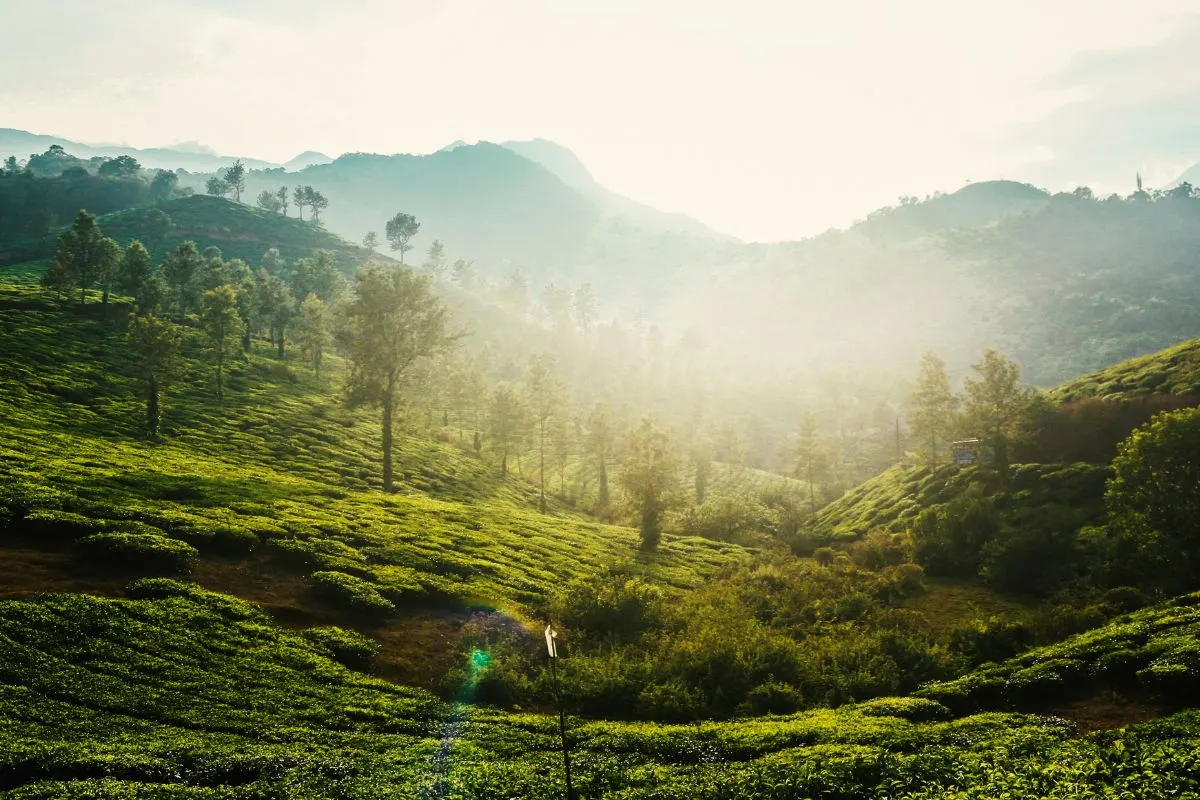 4 Days Wayanad Coorg Group Trip from Hyderabad