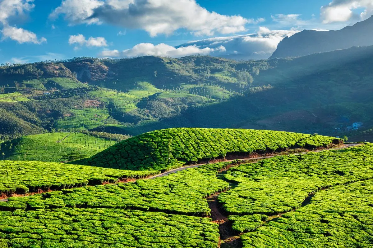 5 Days Kerala Munnar Alleppey Varkala Group Tour