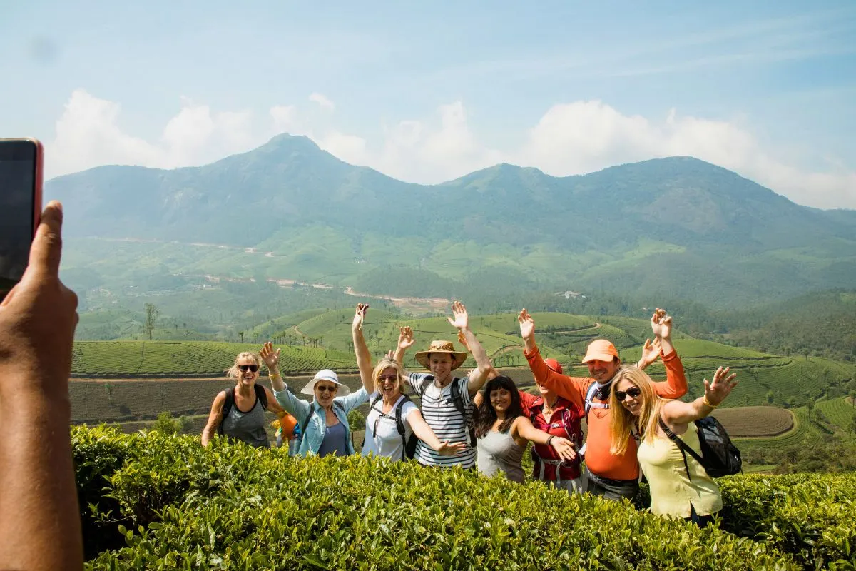 Tea Estate