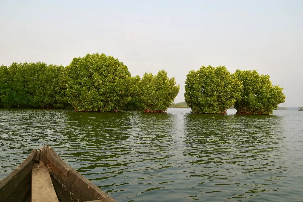 Munroe Island