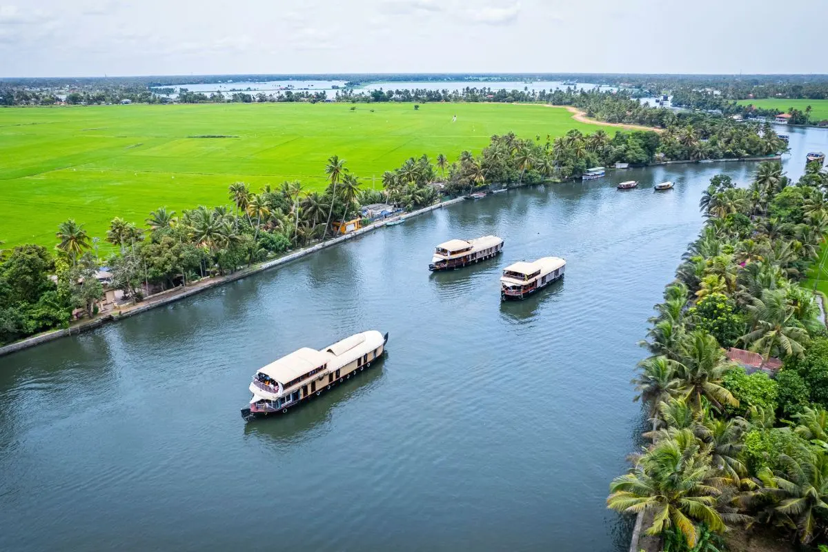 Backwater Cruise