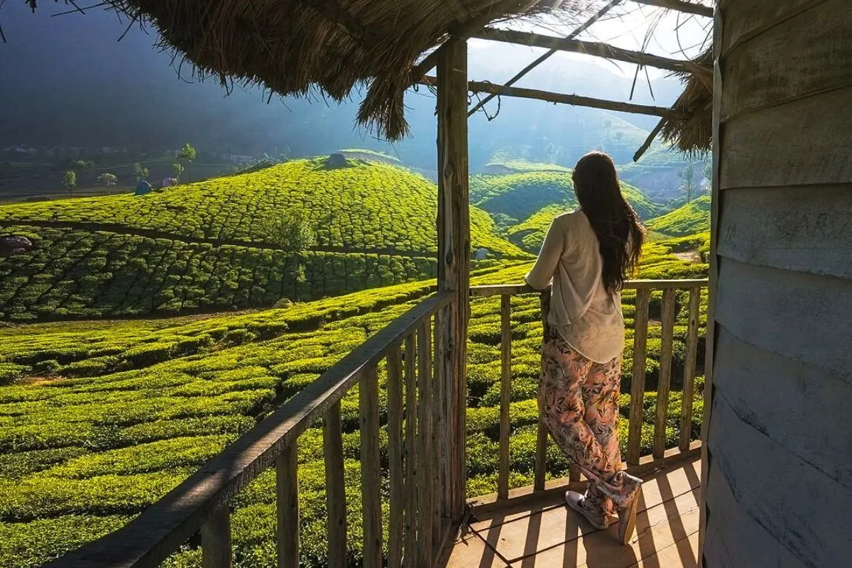 Tea Estate View