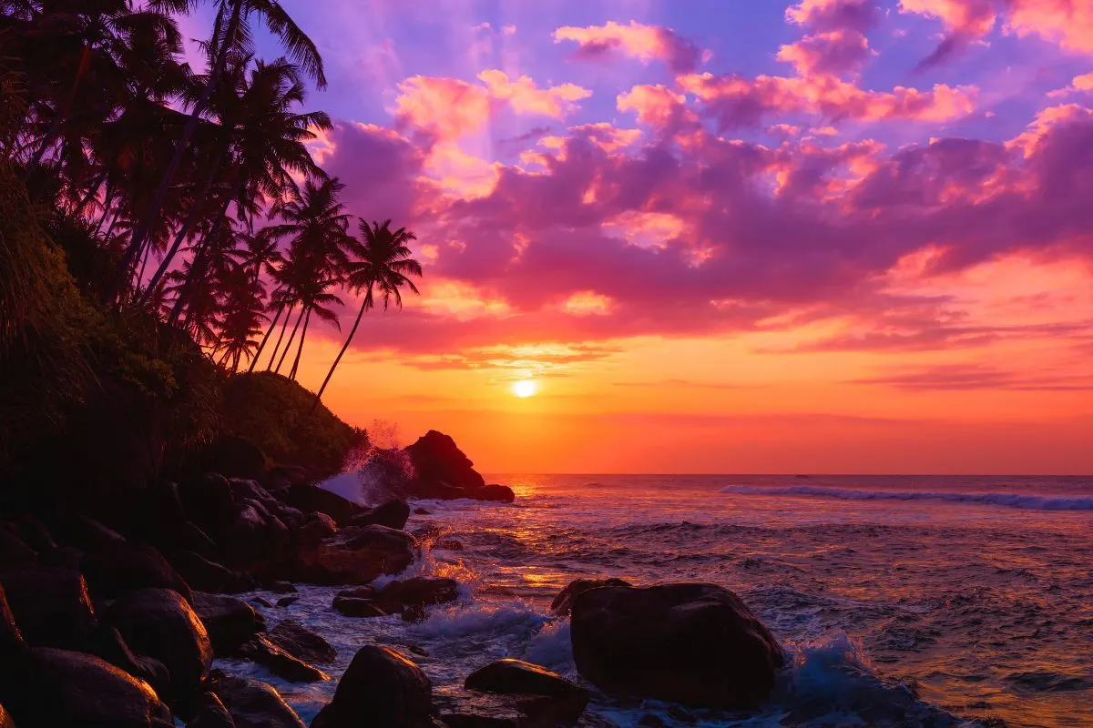 Cliff Sunset