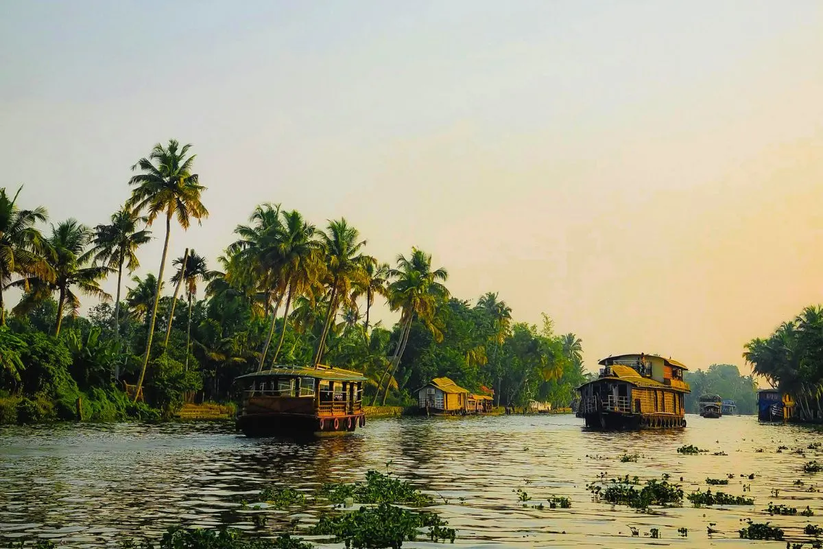 Backwater Dusk
