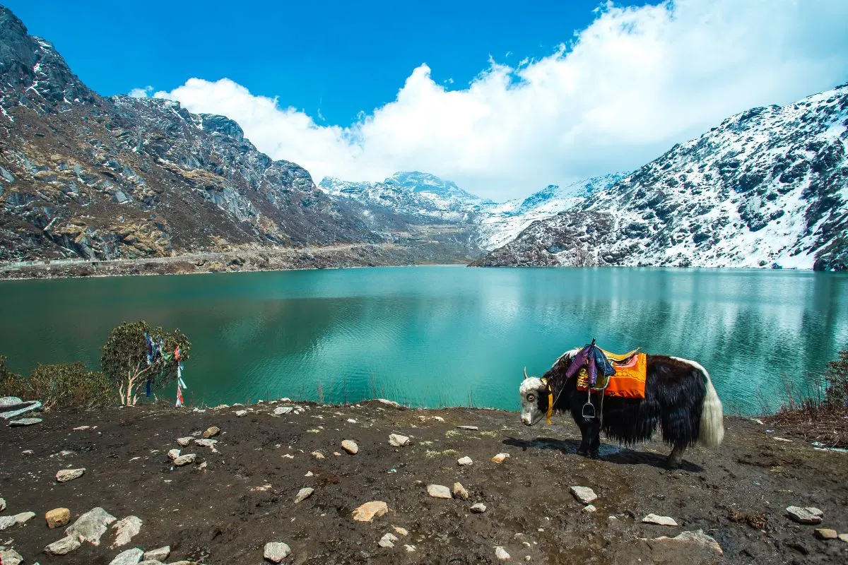 Tsomgo Lake