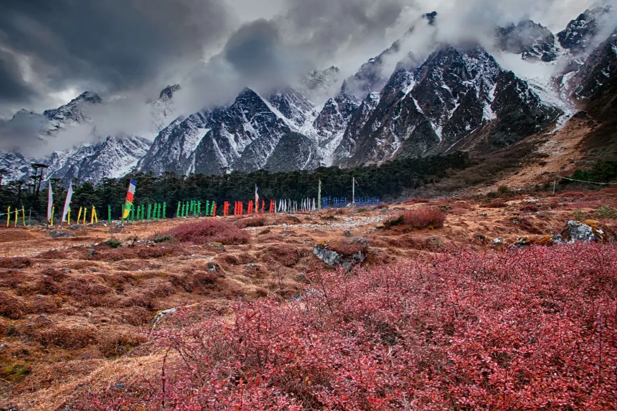 7 Days Sikkim Darjeeling Yumthang Escape