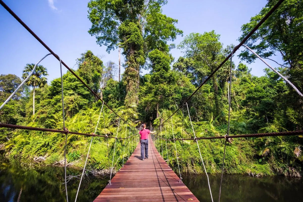 6 Days Assam Meghalaya Wildlife Escape