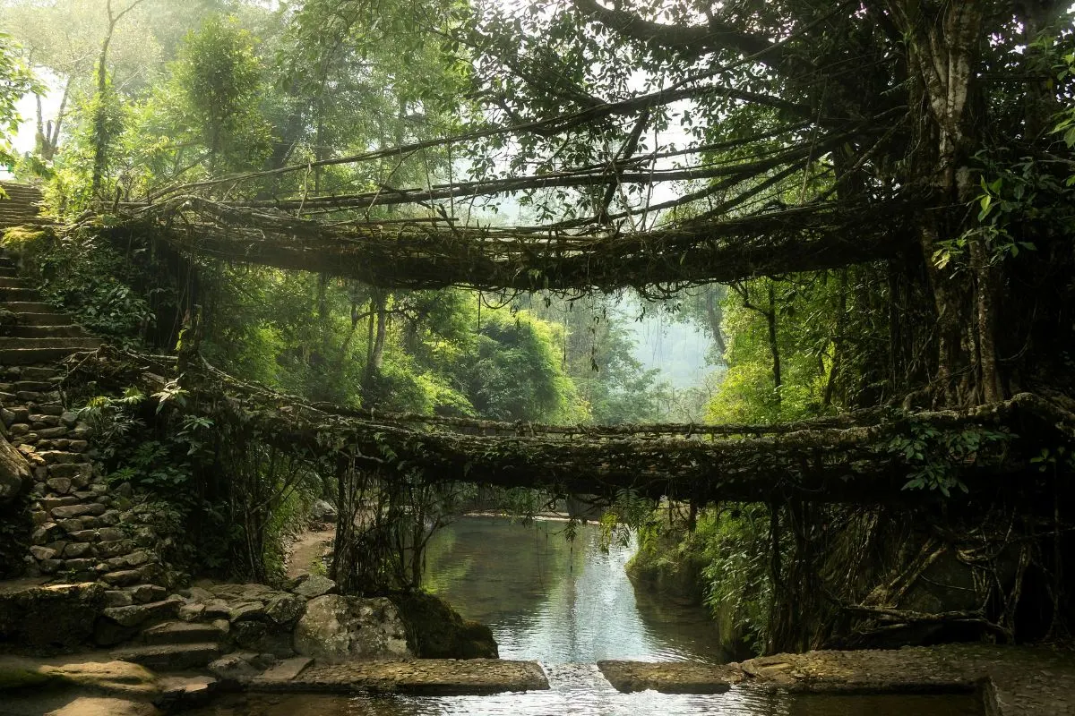 Meghalaya