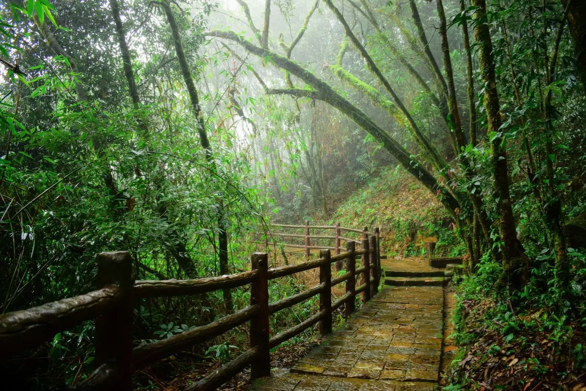 5 Days Meghalaya Backpacking Trip