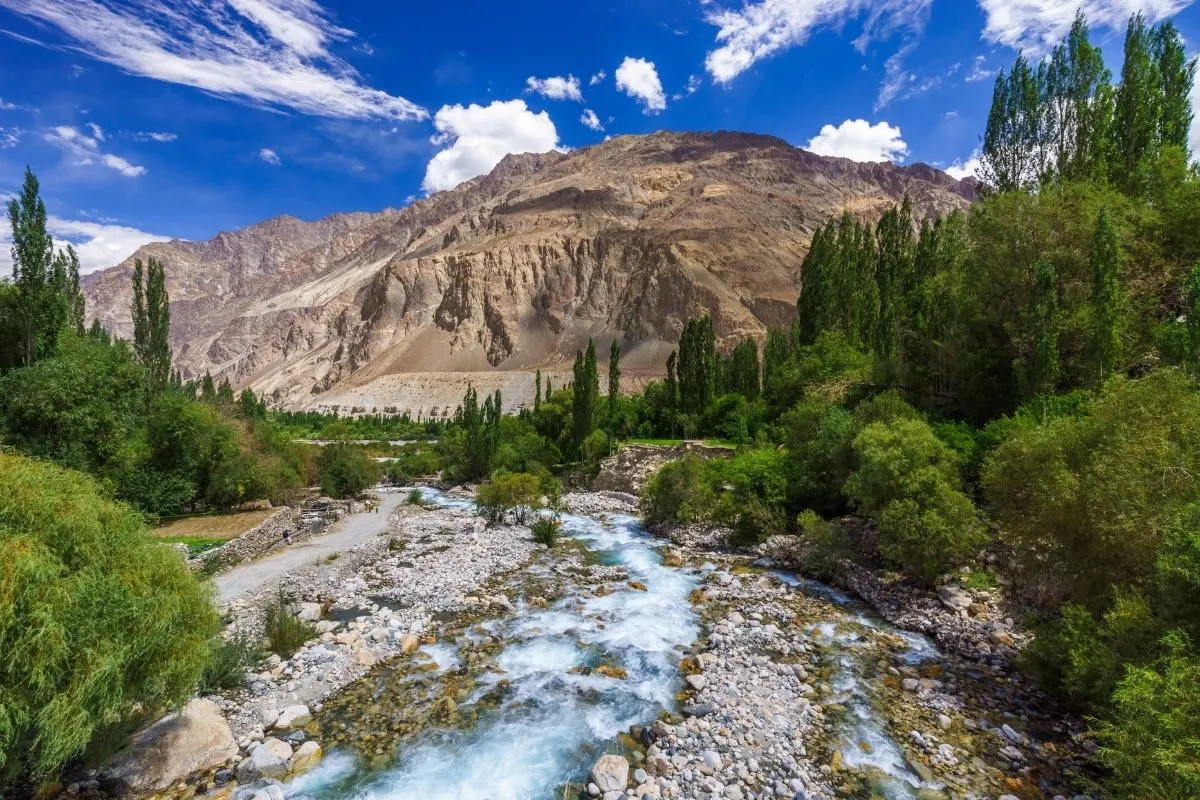 Nubra Stream