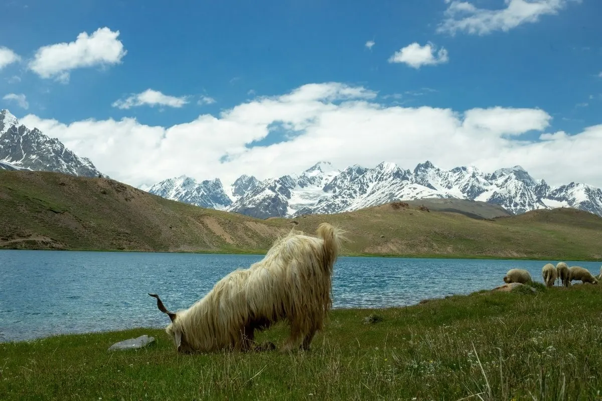 Spiti Valley