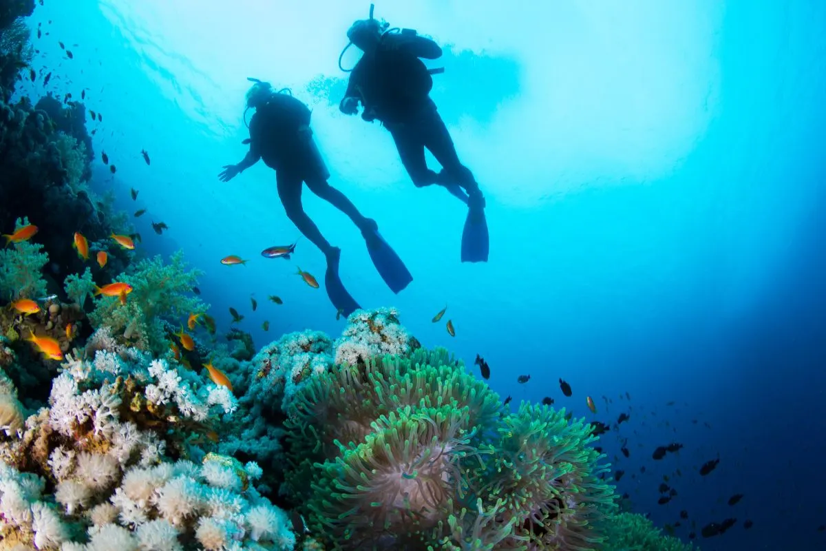 6 Days Andaman Water Sports Adventure