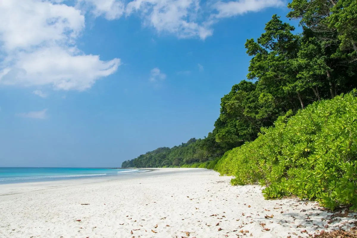5 Days Andaman Short Break