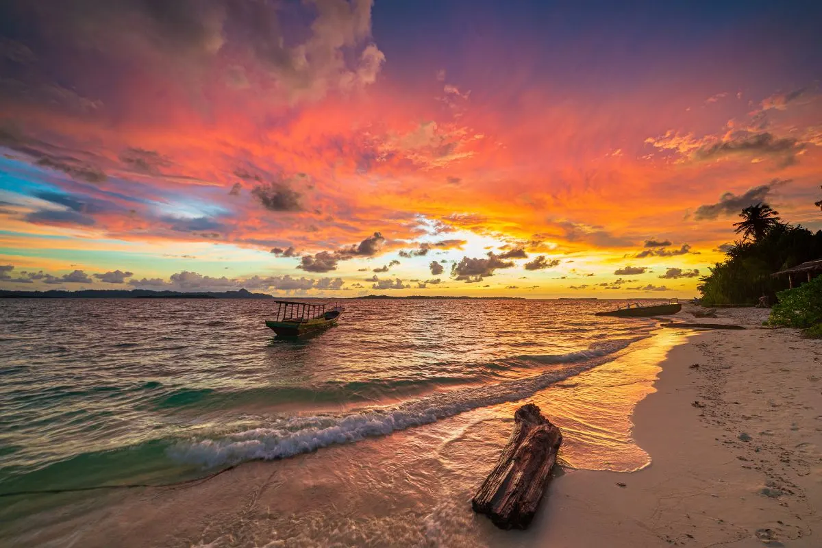 Driftwood Sunset