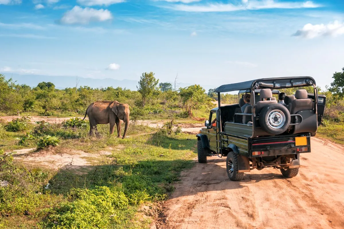 Jim Corbett