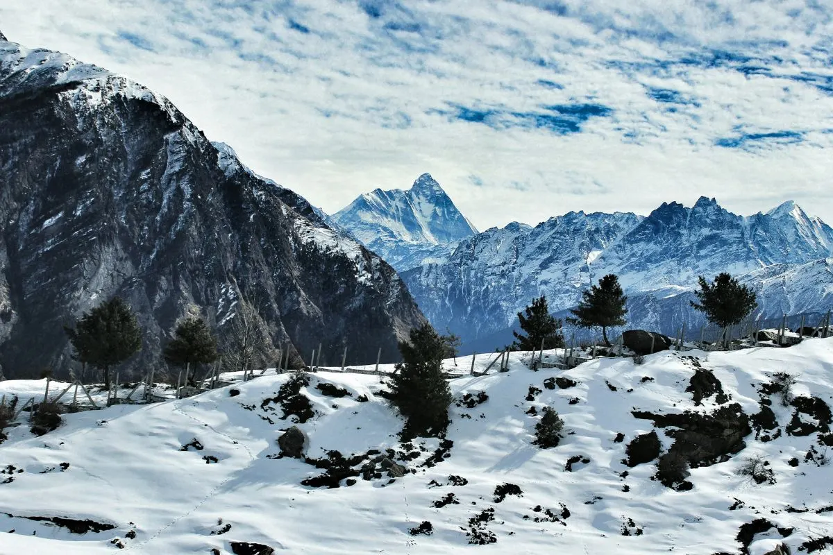 Auli