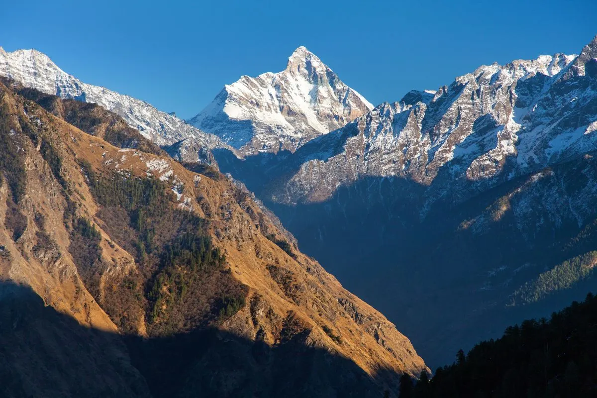 Auli