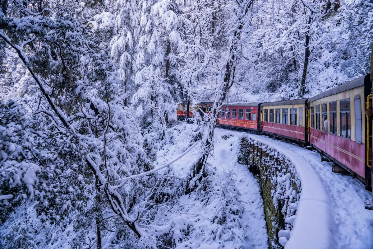 7 Days Shimla Manali Agra Adventure