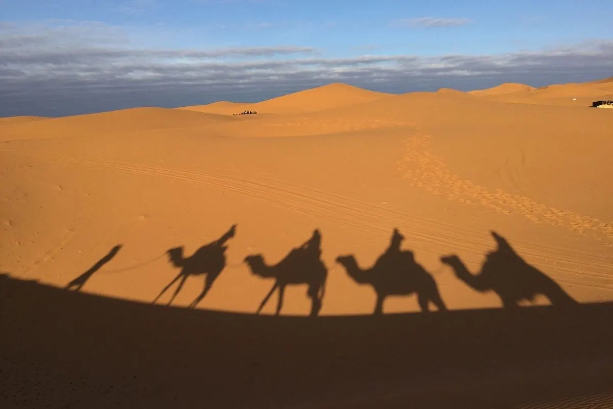 15 Days Grand Rajasthan Retreat
