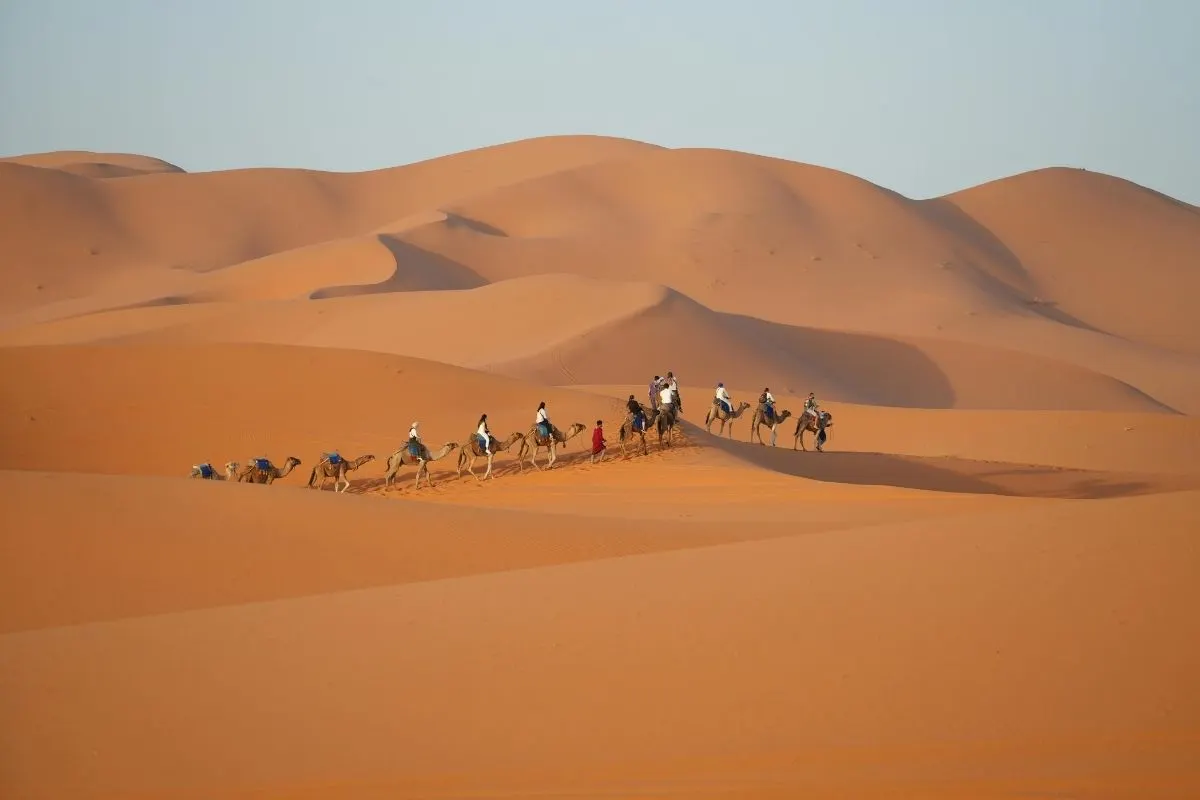 7 Days Jaipur Jodhpur Jaisalmer Desert Adventure