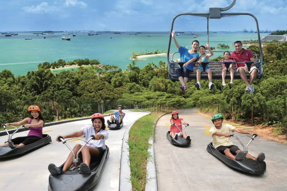 Skyline Luge