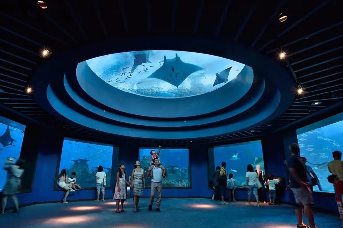 Sea Aquarium