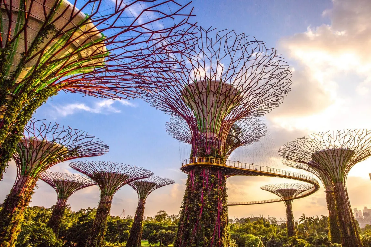 Supertree Grove