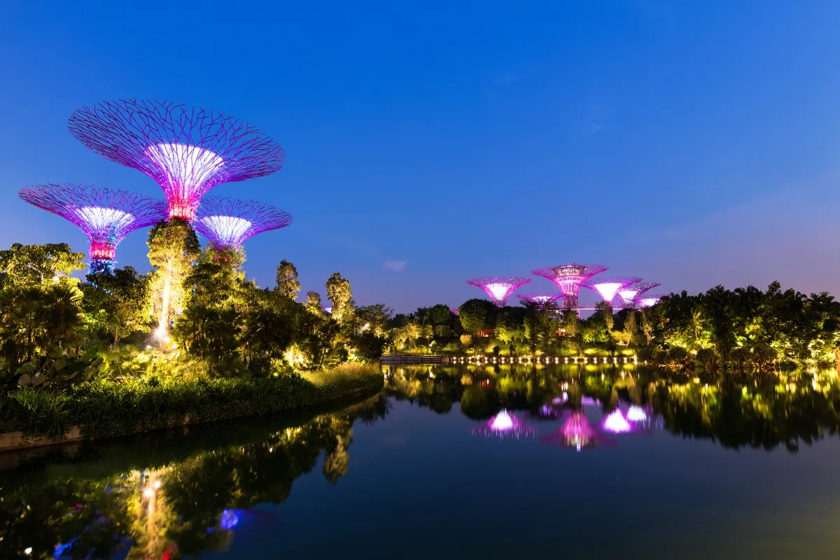 Supertree Lights
