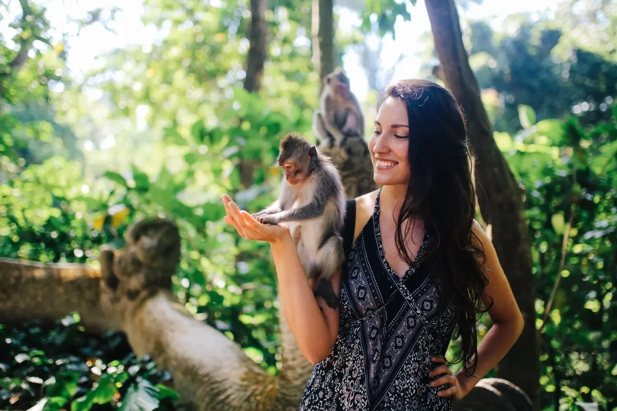 Monkey Forest