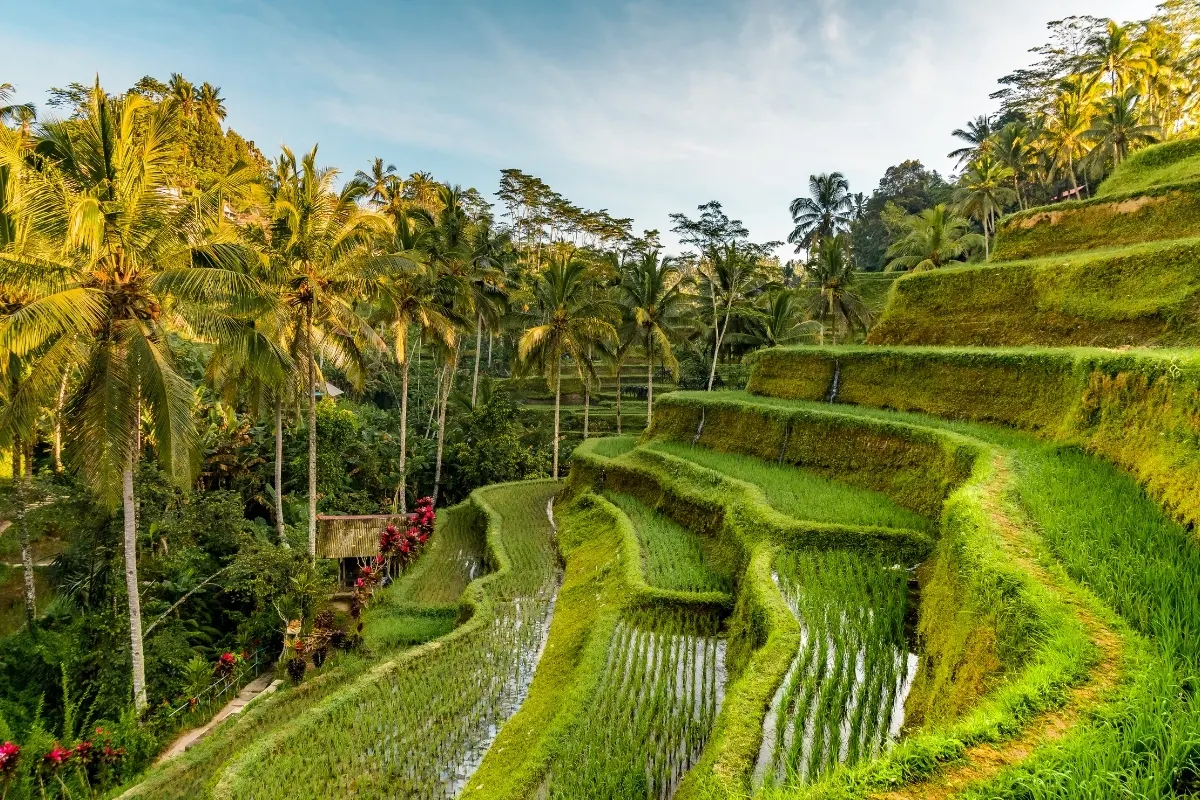 5 Days Bali Bedugul Uluwatu Getaway