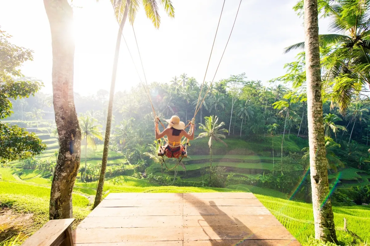 Jungle Swing