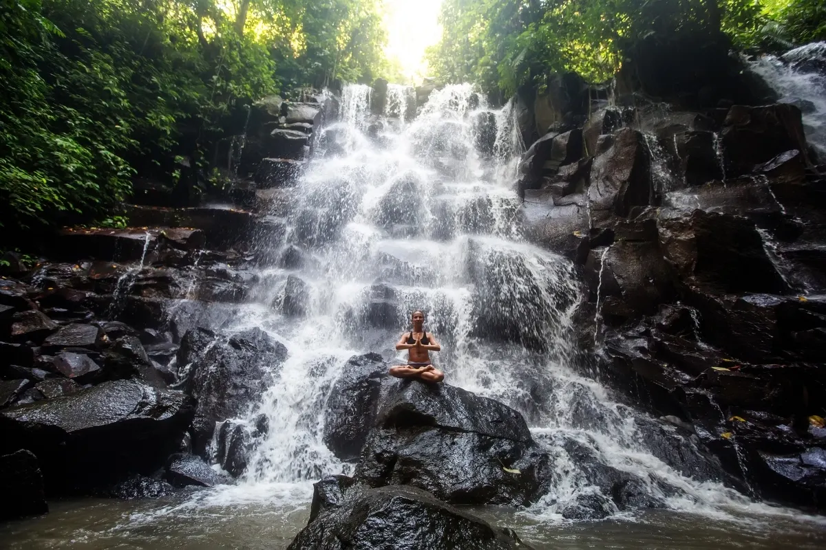 Jungle Falls